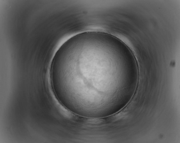 X0000101211440200807071328