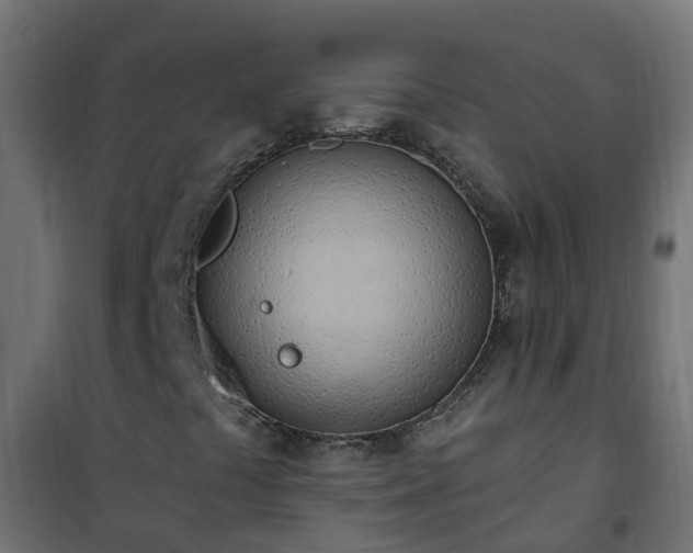 X0000101211441200807071327