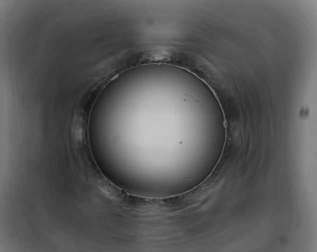 X0000101211442200807071327