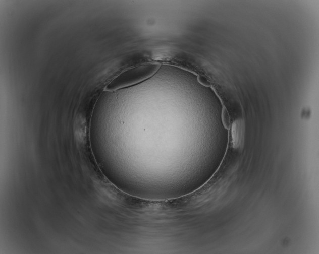 X0000101211443200807071327