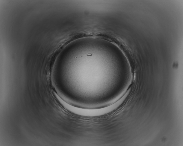 X0000101211444200807071327