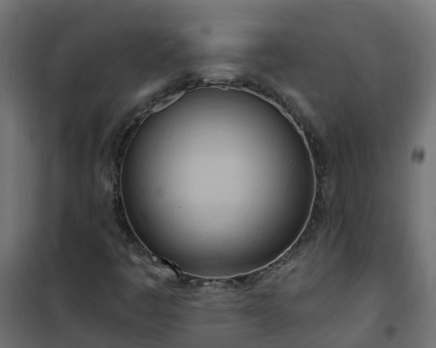 X0000101211445200807071327