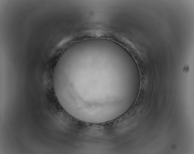 X0000101211446200807071327