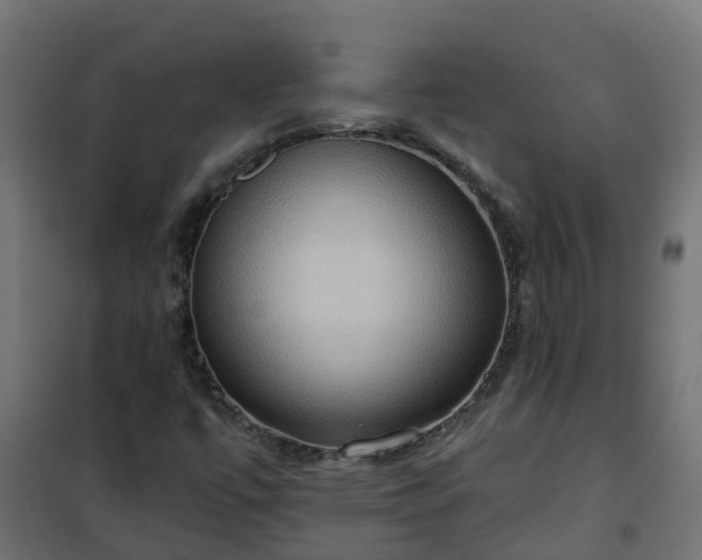 X0000101211447200807071327