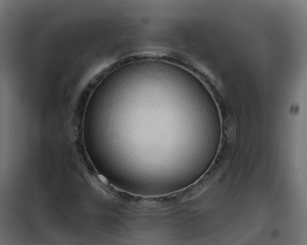 X0000101211448200807071327