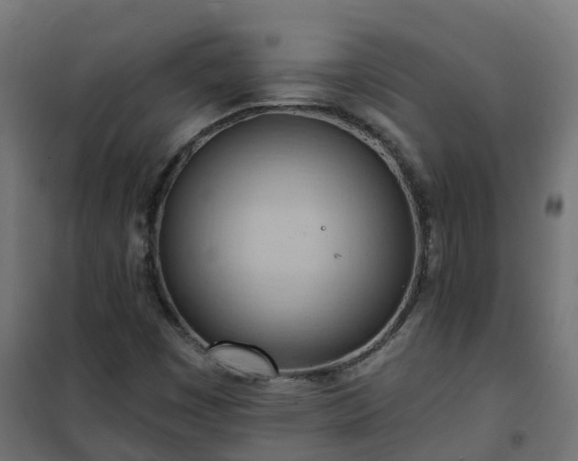 X0000101211449200807071327