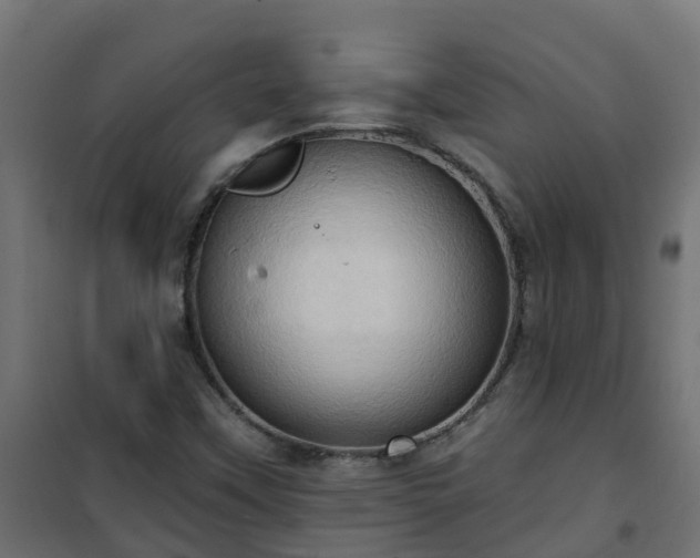 X0000101211451200807071327