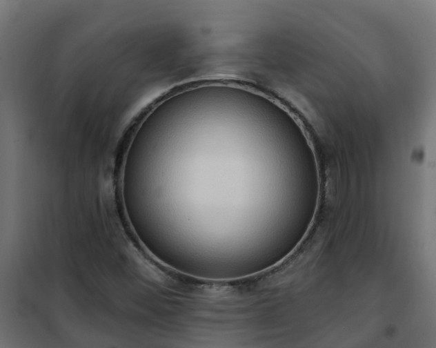 X0000101211452200807071327