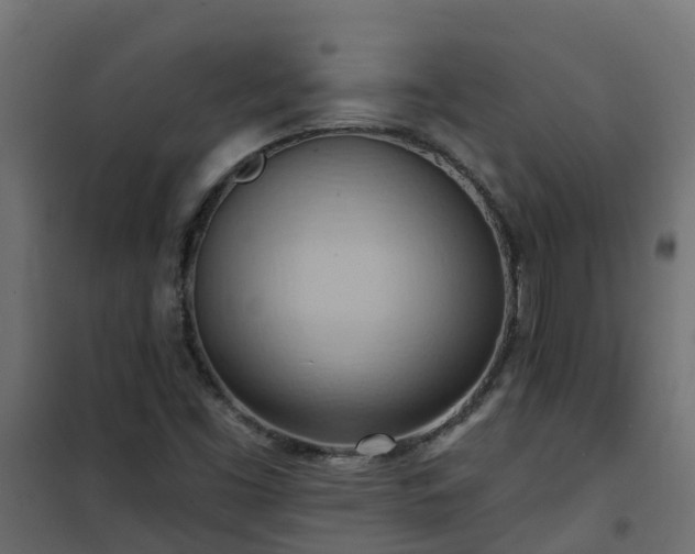 X0000101211453200807071327