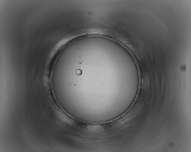 X0000101211454200807071327