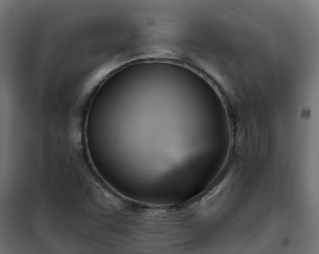 X0000101211455200807071327