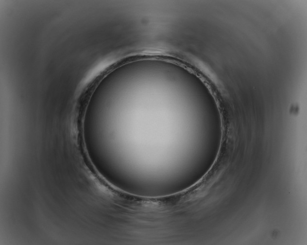 X0000101211456200807071327