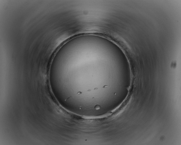 X0000101211457200807071327