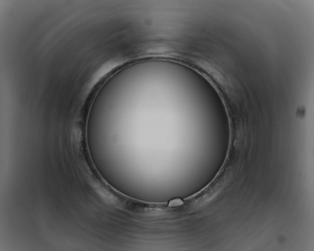 X0000101211458200807071327