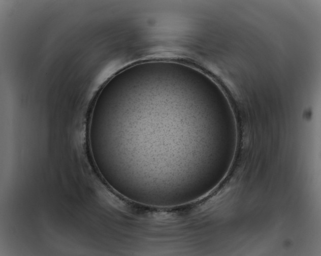 X0000101211459200807071327