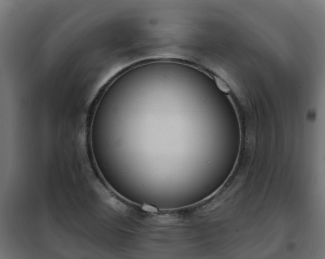 X0000101211460200807071327