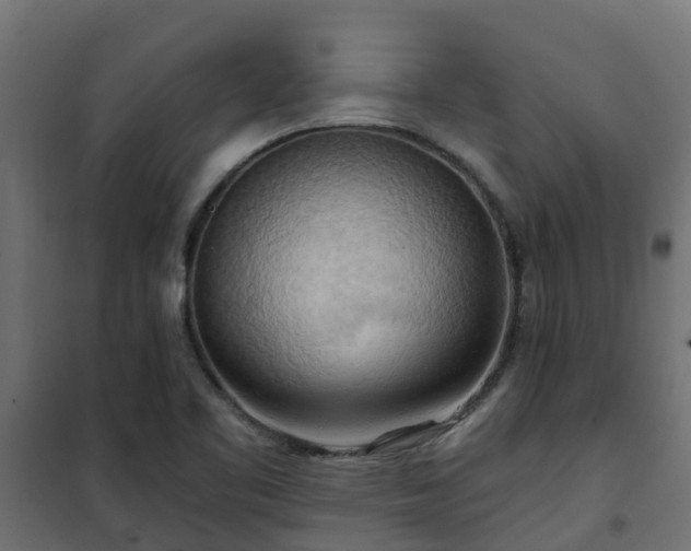 X0000101211461200807071327