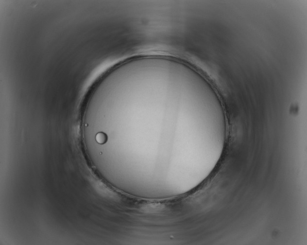 X0000101211462200807071327