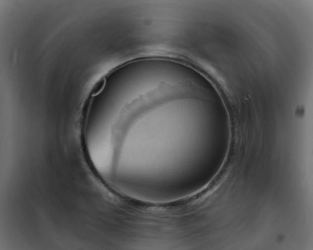 X0000101211463200807071327