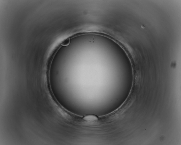 X0000101211464200807071327