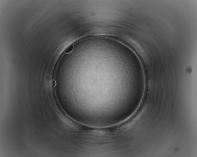 X0000101211465200807071327