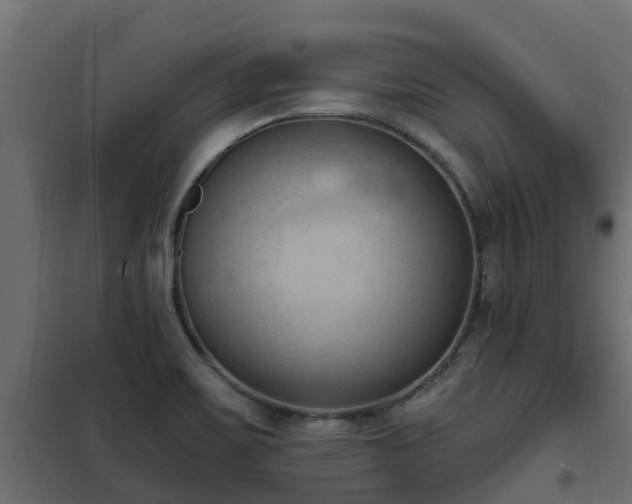 X0000101211467200807071327