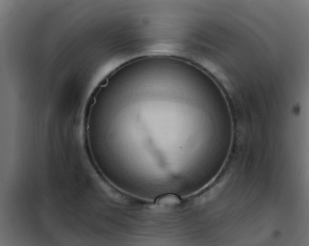 X0000101211469200807071327