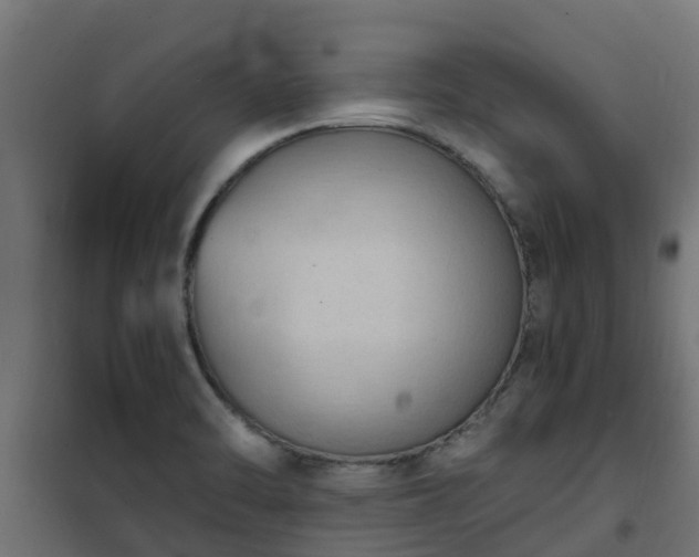 X0000101211470200807071327