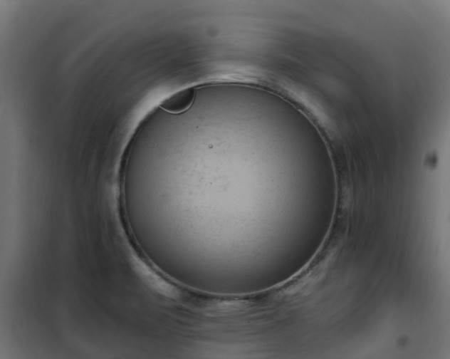 X0000101211471200807071327