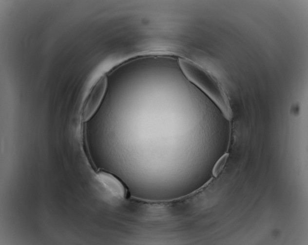 X0000101211472200807071327