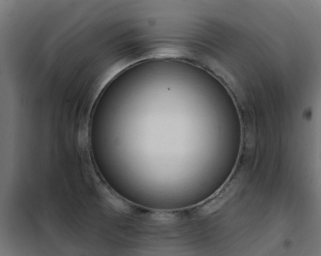 X0000101211473200807071327