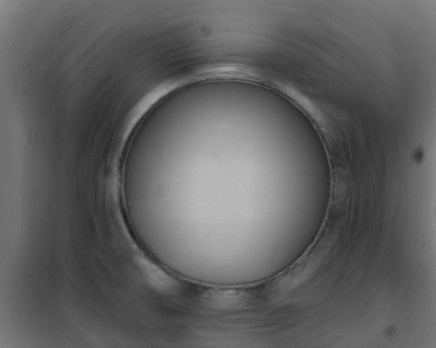 X0000101211474200807071327