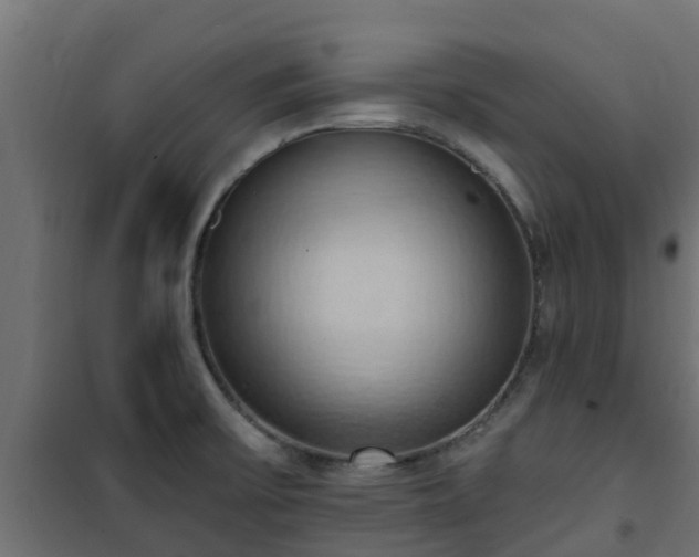 X0000101211475200807071327