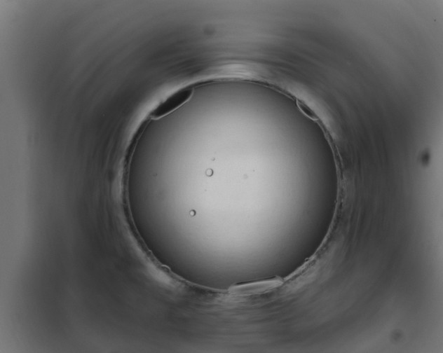 X0000101211477200807071327