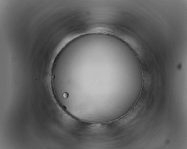 X0000101211478200807071327