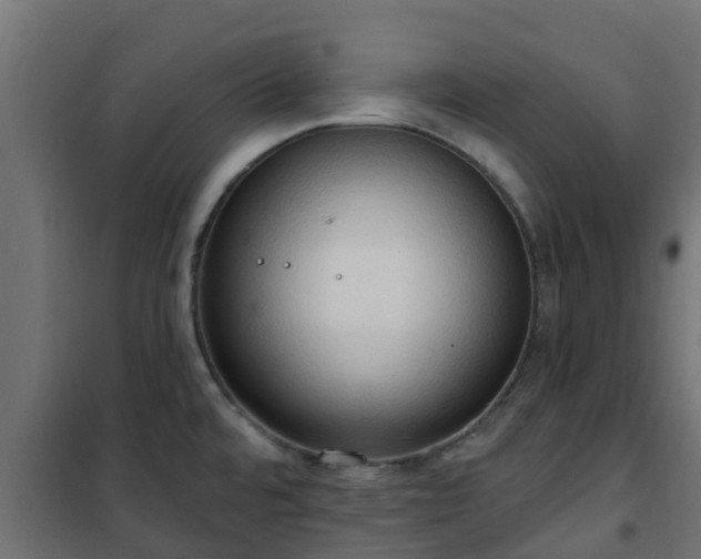 X0000101211480200807071327