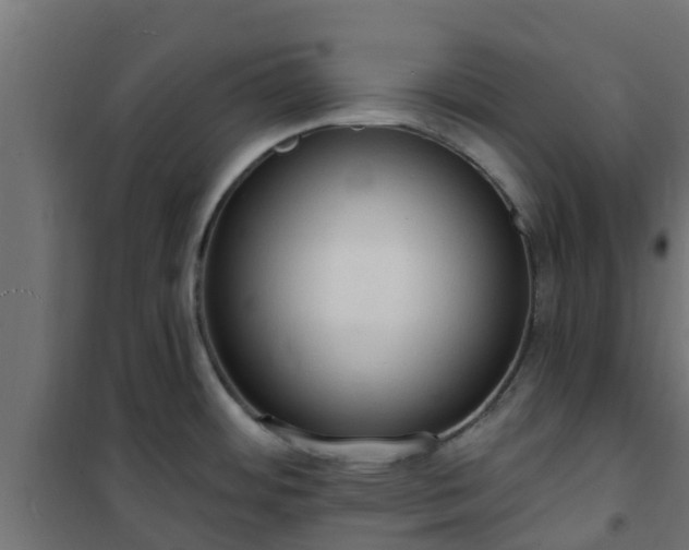 X0000101211484200807071327