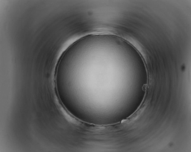 X0000101211485200807071327