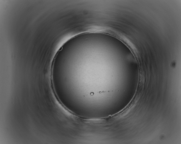 X0000101211487200807071327