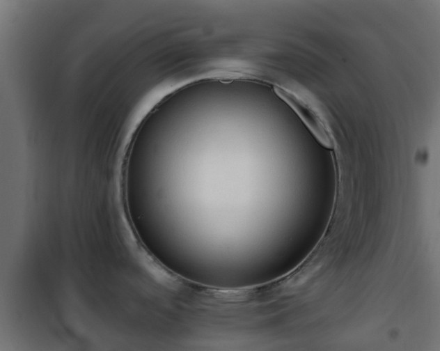 X0000101211488200807071327