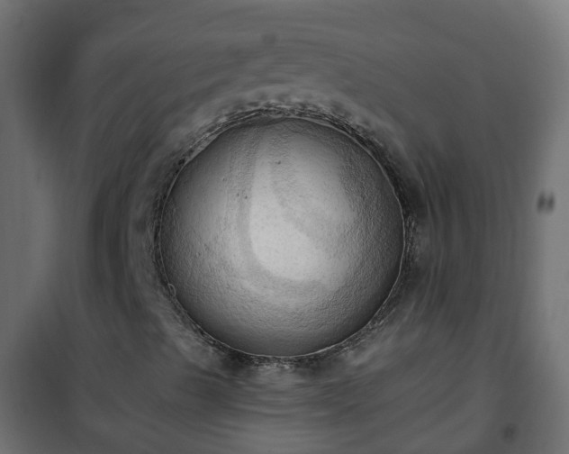 X0000101211489200807071326