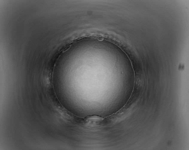 X0000101211490200807071326