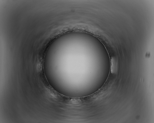 X0000101211491200807071326