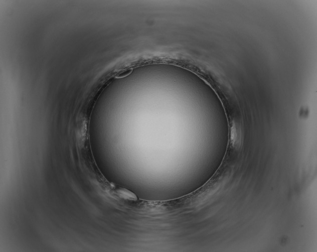 X0000101211492200807071326