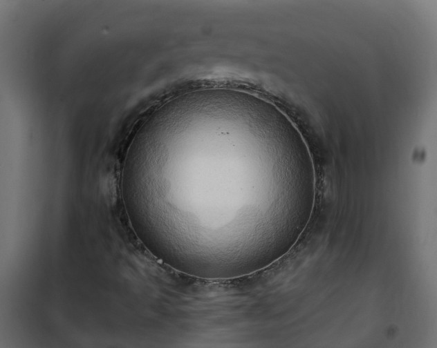 X0000101211493200807071326