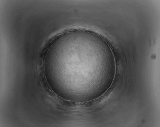 X0000101211494200807071326