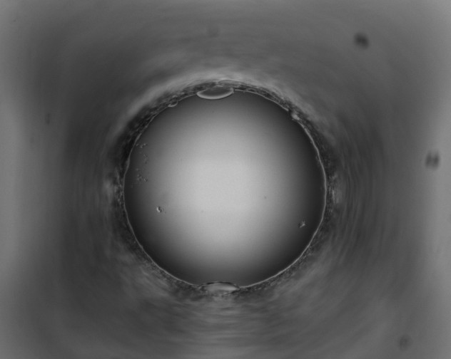 X0000101211495200807071326