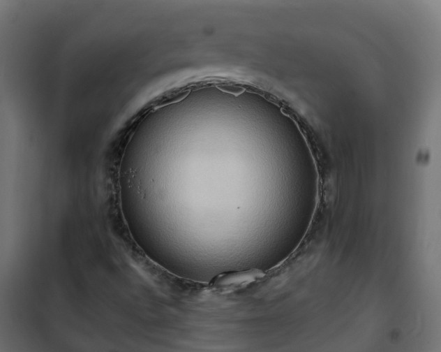 X0000101211496200807071326