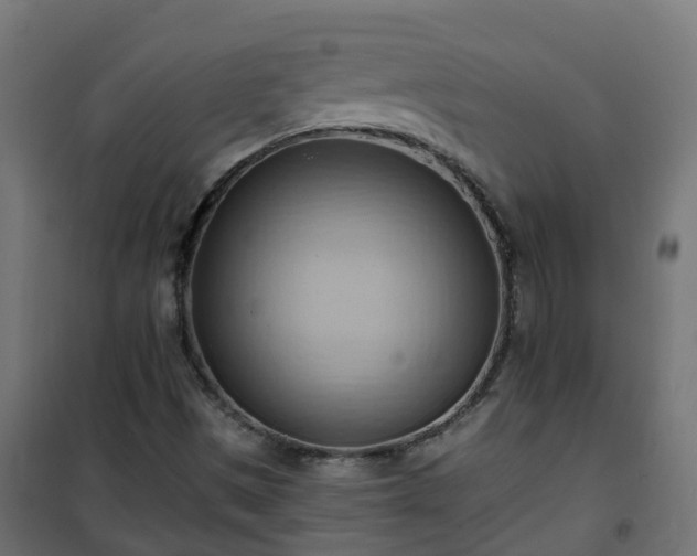 X0000101211497200807071326