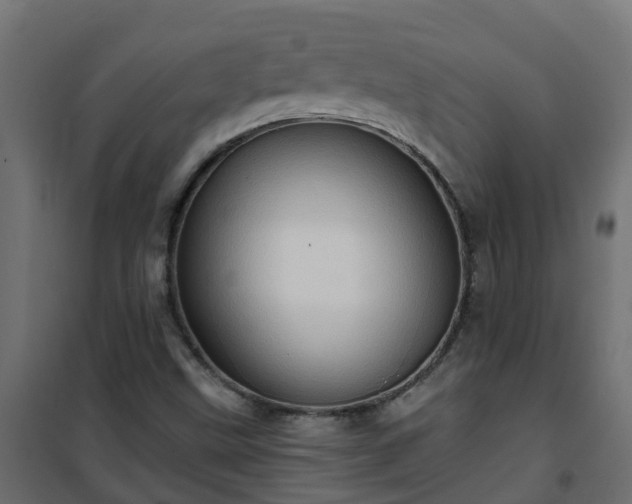 X0000101211499200807071326